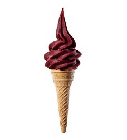 Čierne ríbezle sorbet 3,5kg/2bal