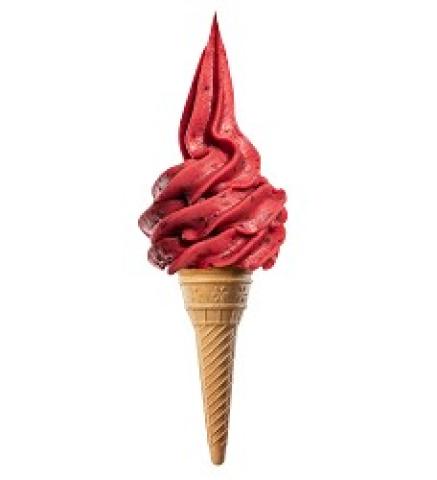 Lesné plody sorbet 3,5kg/2bal
