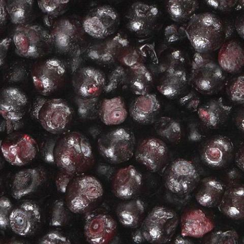 Čučoriedky Lesné 2,5 kg