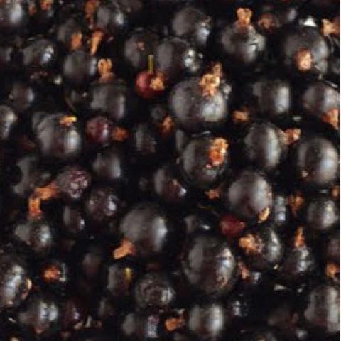 Čierne ríbezle 2,5 kg