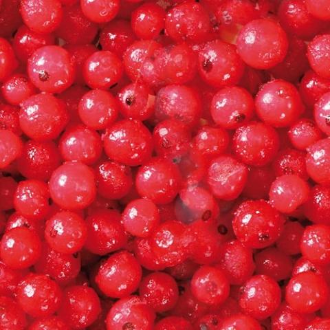 Červené ríbezle 2,5 kg
