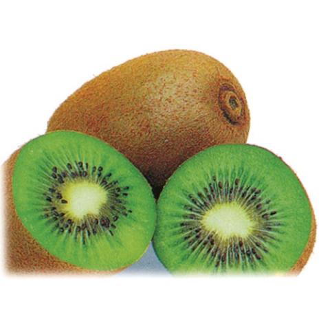 Kiwi 10kg